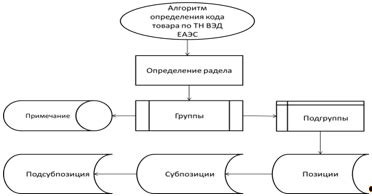 Значение классификационного кода и его роль в деловых процессах