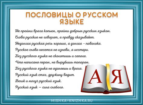 Значение падежей и их неотъемлемая роль в русском языке