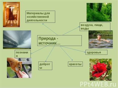 Значение природы для сюжета и символики в пьесе