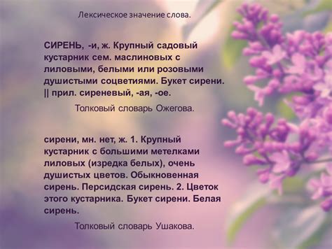 Значение слова "сирень" в русской культуре и языке