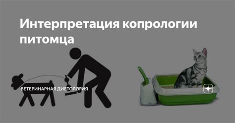 Значение сна о поимке насекомых у домашнего питомца: интерпретация сновидений