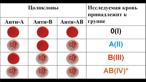 Значение указания группы крови в истории болезни