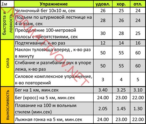 Значение физической подготовки для сотрудников МЧС