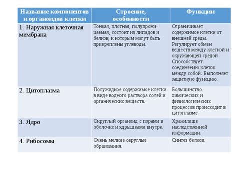 Значение химических компонентов в наружной оболочке картофеля