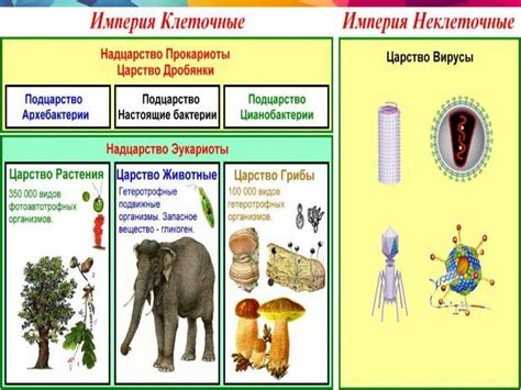 Значение хордовых организмов в науке о животных