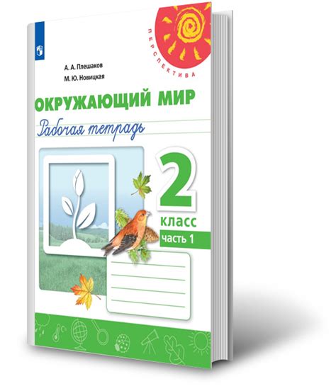 Значение эффективного использования учебной тетради авторов Плешакова и Новицкой для 4-го класса