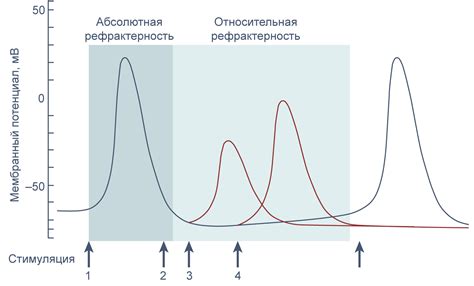 Значения гестагенного действия