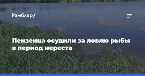 Значимость запрета на ловлю карася в период нереста для обеспечения сохранения его популяции