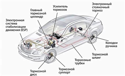 Значимость знания расположения устройства защиты автомобиля