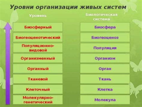 Значимость иерархической организации в изучении живых организмов