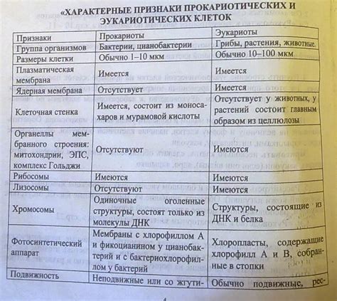 Значимость изучения анатомии и деятельности прокариотов для науки и медицины