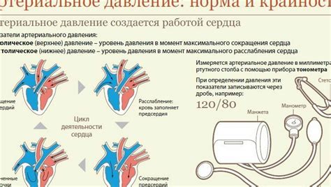 Значимость контроля артериального давления для поддержания здоровья