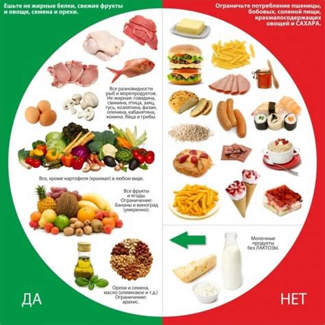 Значимость корректного питания в современной эпохе