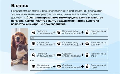 Значимость обеспечения защиты питомца от паразитов