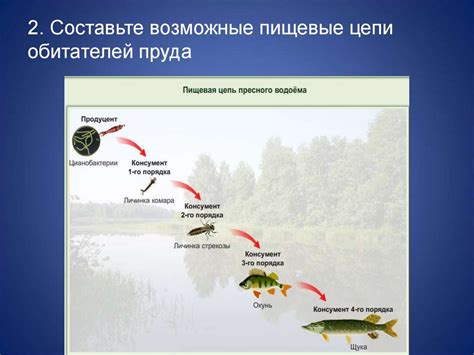 Значимость реки в экосистеме и для местных обитателей