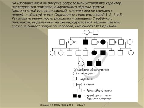 Значимость родословной щенка и его важность для владельцев