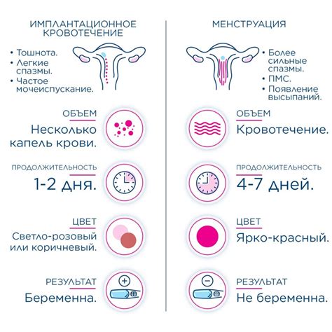 Значимость увеличенной частоты мочеиспускания во время овуляции