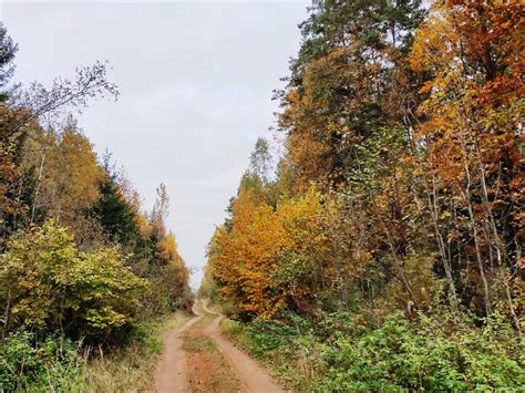 Золотая осень в лесах Кучугура