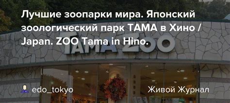 Зоологический парк "Бочкинская тайга" в Новосибирске