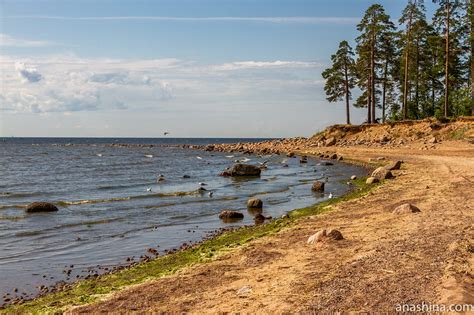 Идеальные точки для спуска водного средства на прекрасном побережье Финского залива