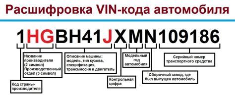 Идентификационный номер кузова как уникальная характеристика автомобиля