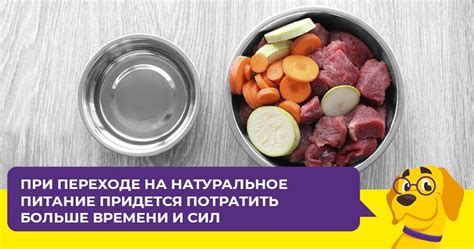 Избегаем перегревания корма: основные рекомендации