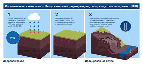 Избегайте задержки влаги и избыточного увлажнения почвы
