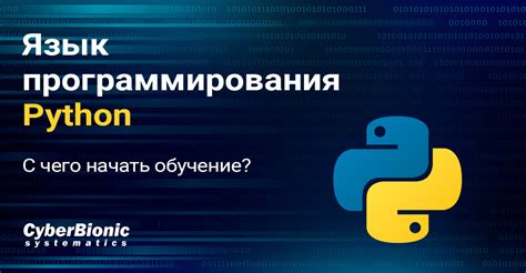 Известность и востребованность Python: язык программирования, оцененный многими разработчиками и инженерами