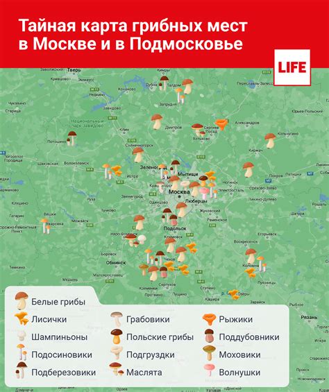 Известные водоемы в окрестностях Чеховского района: прекрасные места для ценителей щуки