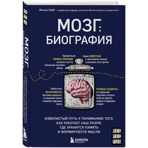 Извилистый путь встреч с непростыми испытаниями на пути к пределу человеческой выдержки