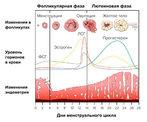 Изменение менструального цикла