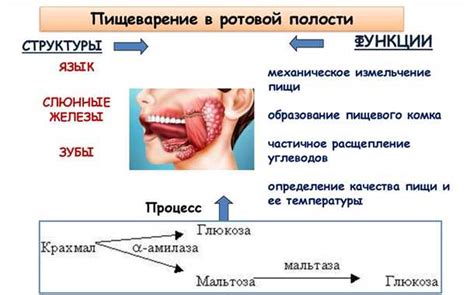 Изменение пищеварительного процесса