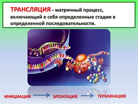 Изменение принципов сохранения генетической информации в ходе эволюции