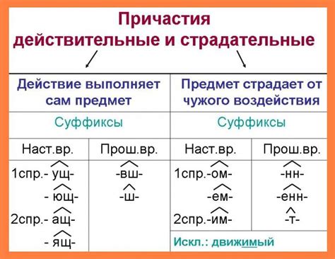 Изменение форм причастий в зависимости от числа существительного