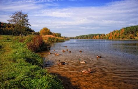 Изумрудные озера и живописные реки в горных пейзажах