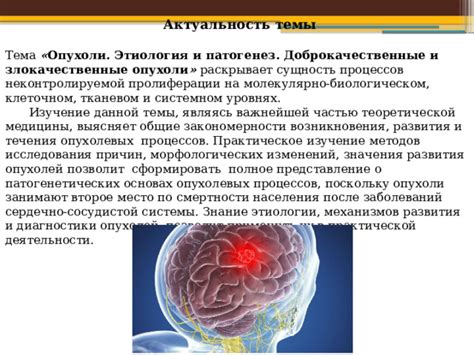 Изучение основных причин и механизмов возникновения сложностей в распознавании ввода с руля компьютером