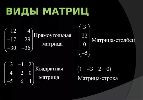 Изучение основ матрицы: понятие и структура линейной таблицы