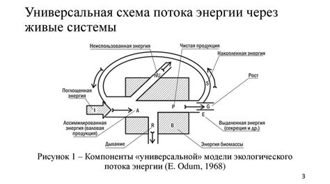 Изучение потока энергии внутри домашнего пространства