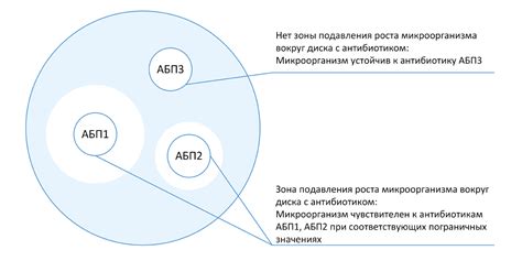 Изучение чувствительности микроорганизмов к противомикробным препаратам: сложности и перспективы