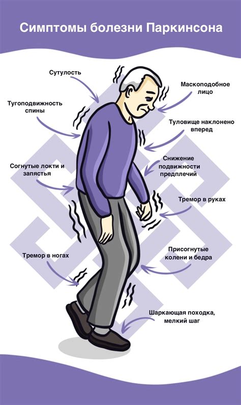 Иммунная система при болезни Паркинсона: особенности и уязвимость