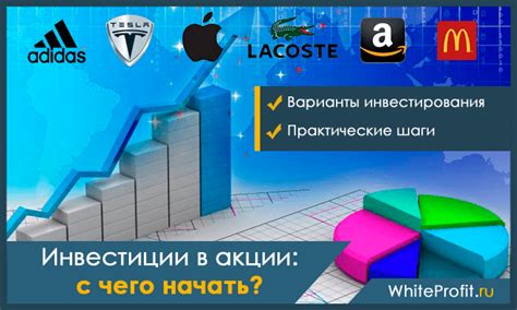 Инвестиции в акции: где найти высокодоходные возможности для вложений