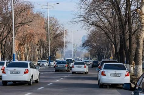 Инновационные методы и меры для обеспечения чистоты воздуха в городской среде