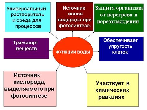 Интеграция и взаимодействие функциональных систем в организме