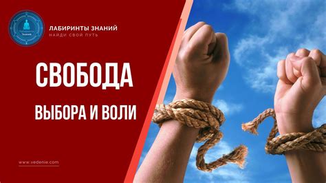 Интерактивное исследование: свобода выбора в мире будущего