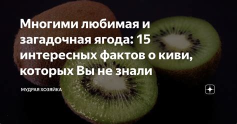 Интересные сведения о киви, о которых вы возможно не ведаете