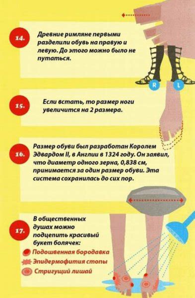 Интересные факты о ногах звезд – как они поддерживают красоту и здоровье ног?