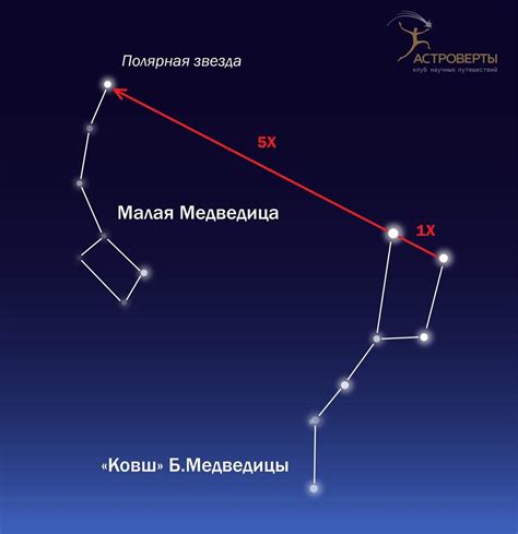 Интересные факты о созвездии Медведицы на ночном небосклоне