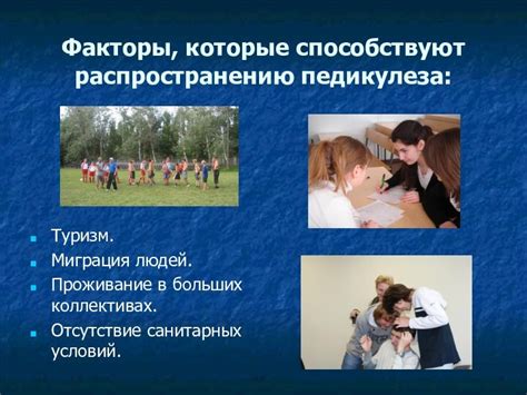 Интерпретация сновидения о вшах в различных культурах