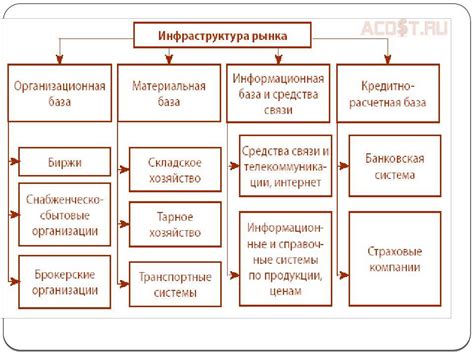 Инфраструктура птичего рынка в Ставрополе