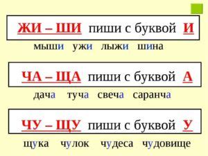 Исключения из основных правил: использование приставок с буквой "е"